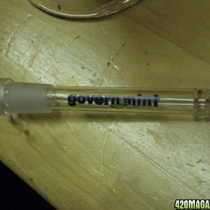 Governmint Downstem