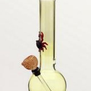 111r-Crawfish-bong