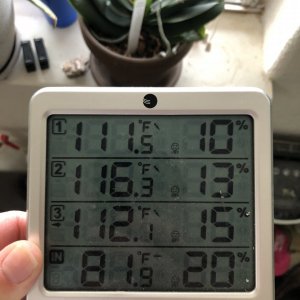 5pm temp in garden-116° F