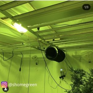 medicgrow-fold-8-led-light-shomegreen.jpg