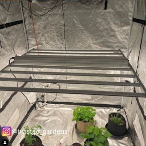 medicgrow-fold-8-twistedgardens.jpg