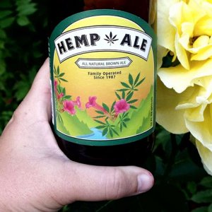 20100420-hemp-ale