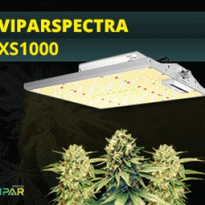 ViparSpectra-XS1000