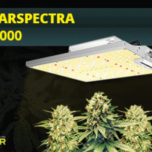 ViparSpectra-XS1000.gif