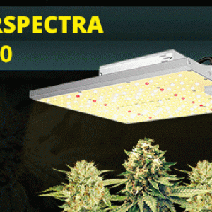 ViparSpectra-XS1000.gif