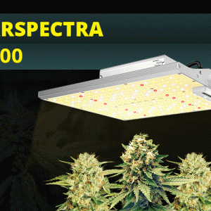 ViparSpectra-XS1000.gif