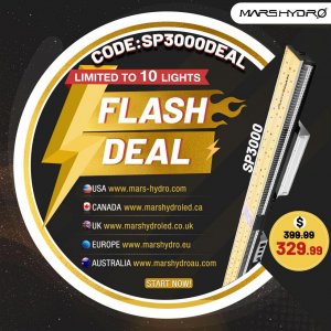 SP3000 Flash Deal.jpg