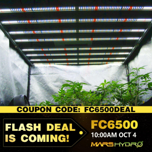 FC6500 Flash Deal.png