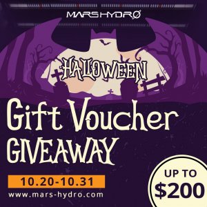 Halloween Gift Voucher Giveaway.jpg