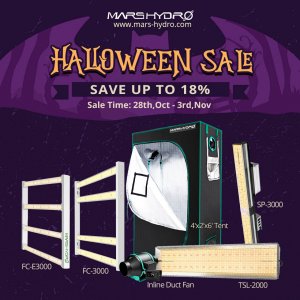 Halloween Sale.jpg