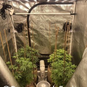 grow-with-medic-grow-fold-8-20210916.jpg