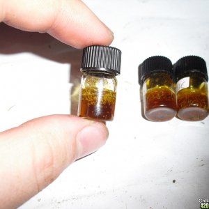 honey oil