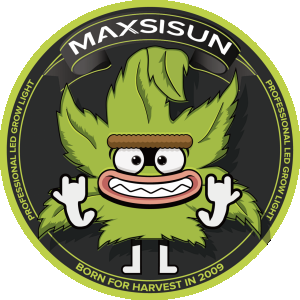 MAXSISUN.png