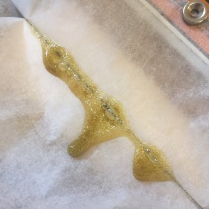 Girl Scout COOKIES Rosin