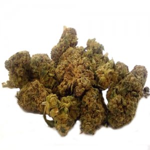 amnesia-cbd-cannabisblueten-chilled-marihuana.jpg