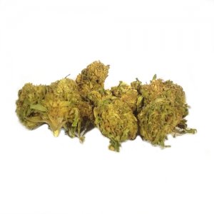 GMO-Cookies-cbd-blueten-cannabis-flowers.jpg