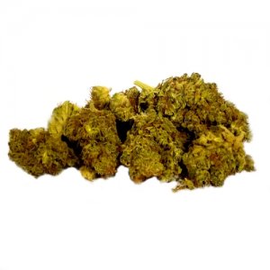 limoncello-marijuana-flowers-cbd-blueten-chilled.jpg