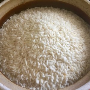 Desiccated rice