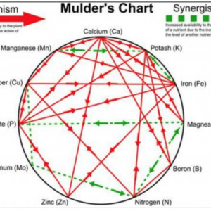 Mulder’s infographic