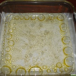 BHO honey oil