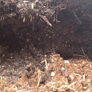 Compacted soil