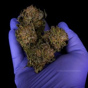 grow-with-medicgrow-smart8-spacementgrown-kiss-4.jpg