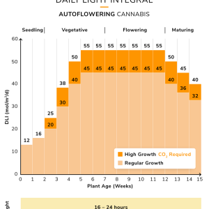 cannabis-dli-cycle-autos-1.png