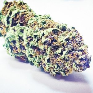 Peanut Butter Breath