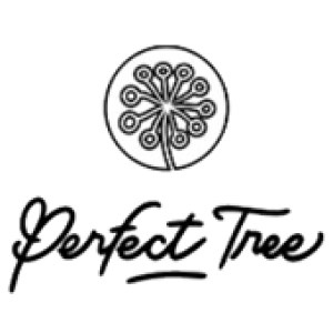 perfect-tree-manufacturer-cannapot.png