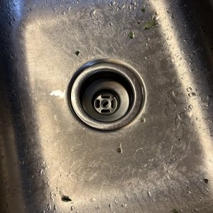 Whip or spin excess water from buds in sink