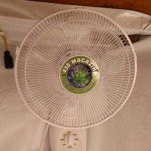 Fan w/420 Sticker