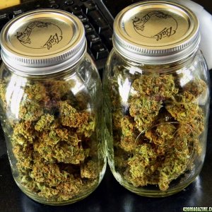 jars