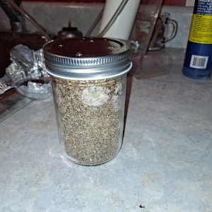 Mushroom jar 1A 10-03a.jpg