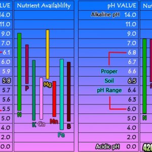 pH_chart71.jpg