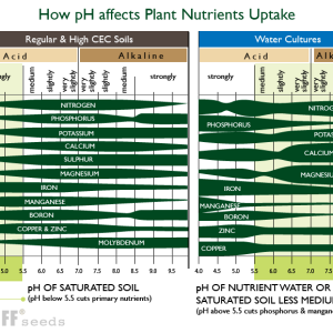 pH-Cannabis-Nutrition-1.png