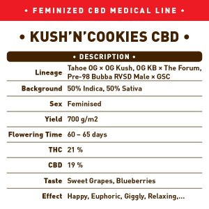 CBD-KushNCookies-CBD-back.jpg