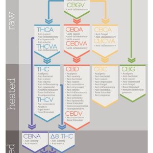 CBD chart.jpg