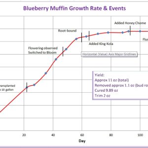 Blueberry Muffin Chart.jpg