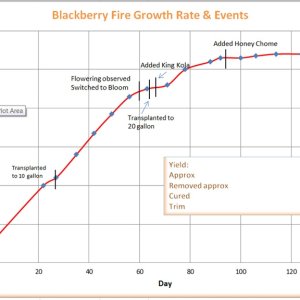 Blackberry Fire Chart.jpg