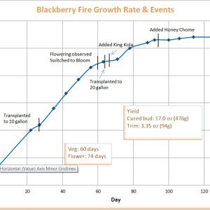 Blackberry Fire Chart Final.jpg