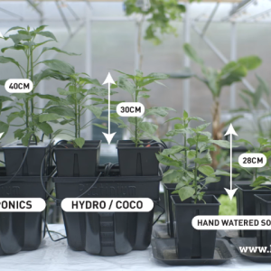 Hydroponics vs Aeroponics vs Soil Growing Systems_2.png