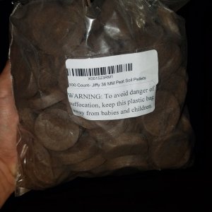 Peat Moss Plugs.jpg