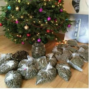 xmas.weed.4.jpg