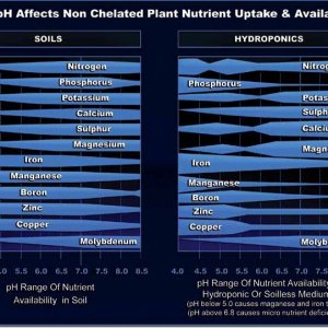 NutrientPHRange.jpg