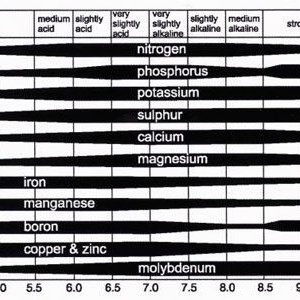 ph-nutrient-availability.jpg