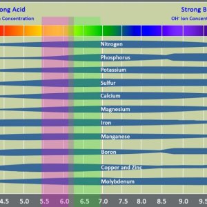 PH and Nutrient Ranges.JPG