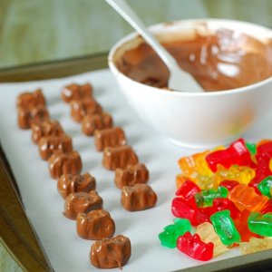 Chocolate_Dipped_Gummy_Bear_Ingredients.jpg