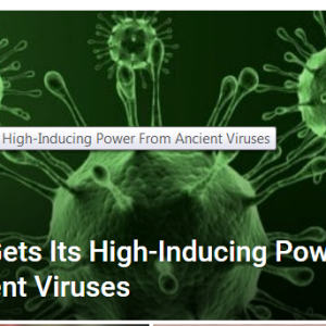 Virus induced..PNG