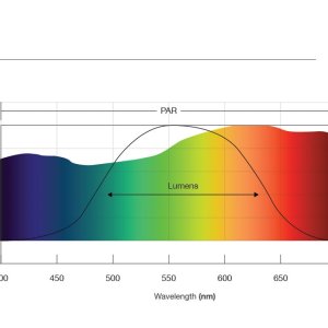 Photosynthetic-light-response-curves-1.jpg