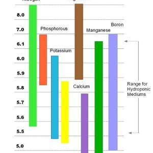 pH-range-of-elements.jpg